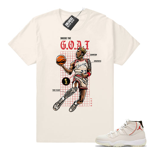 Air Jordan 11 Clothing  Sneaker Tees