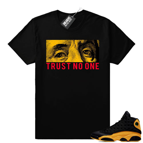 Air Jordan 13 retro sneaker apparel Melo 13s  Sneaker Tee