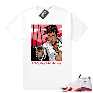 Air Jordan 14 Candy Cane shirt  Jordan Sneaker Clothing