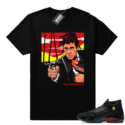 Air Jordan 14 Last shot matching tee - Last Shot 14 Collection