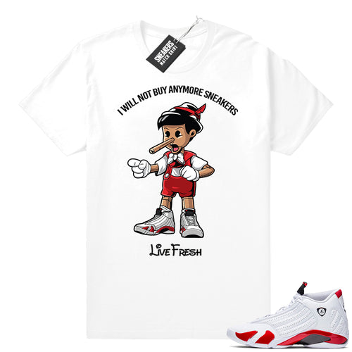 Air Jordan 14 Sneaker shirts  Jordan Sneaker Clothing