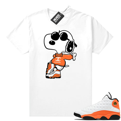 Air Jordan Starfish 13s shirts