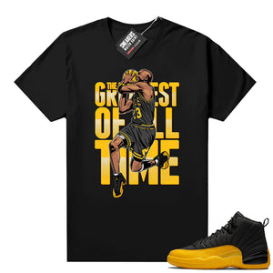 Air Jordan University Gold 12s shirts  Sneaker Tee