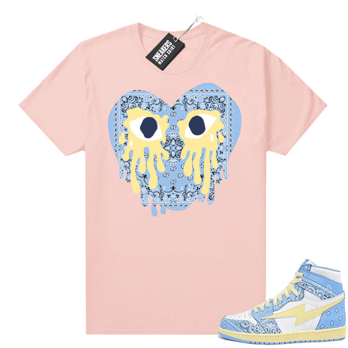 Air Kiy Baby Blue Paisley Shirt Pink Crying Heart Paisley  Sneaker tees for Jordans