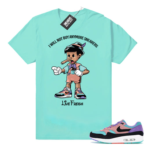 Air Max 1 Nike Sneaker tees  Air Max 1 Sneaker Match
